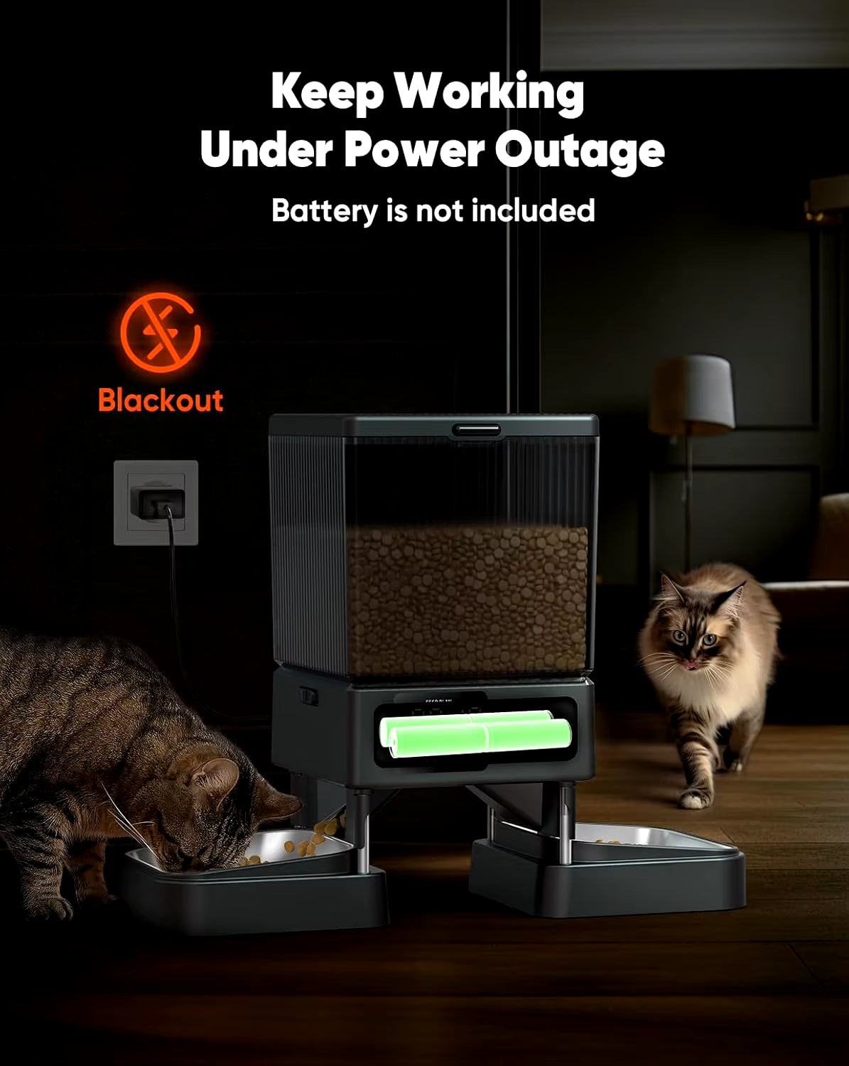 Automatic Cat Feeder for 2 Cats