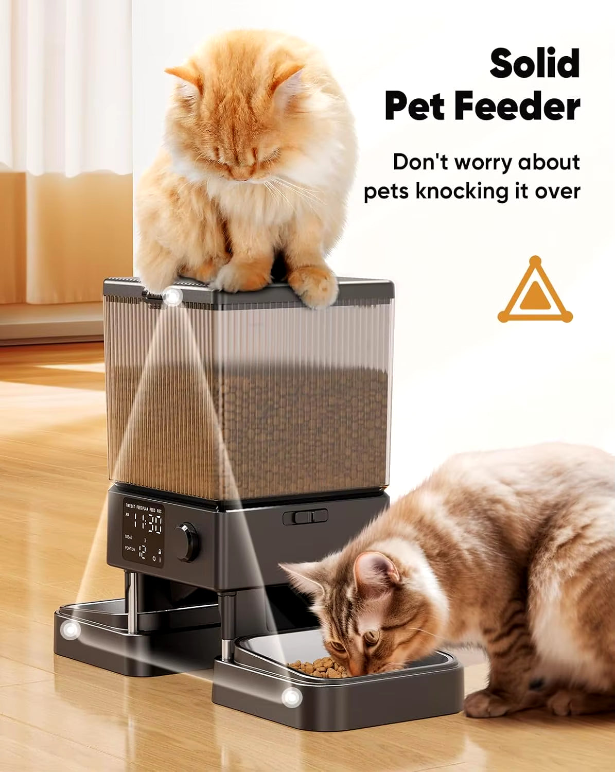 Automatic Cat Feeder for 2 Cats